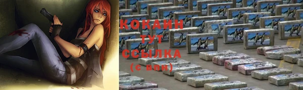соль ск Магас