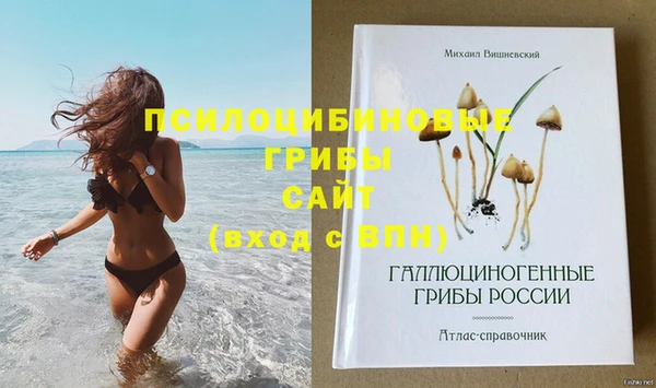 прущая мука Медногорск