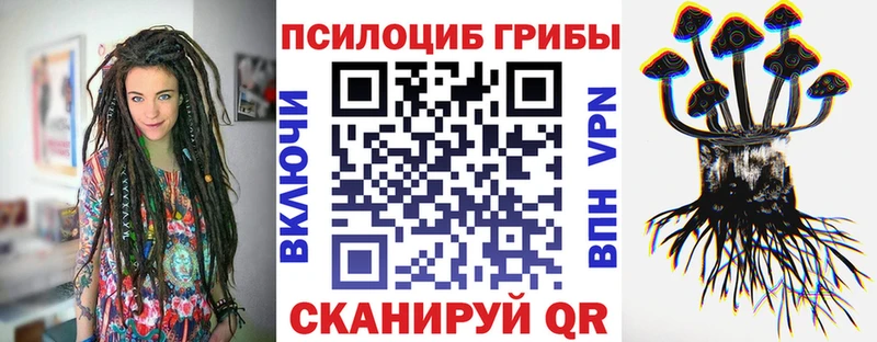 Галлюциногенные грибы Psilocybine cubensis  Купить где  Мураши 