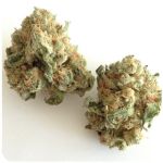 Шишки "White Widow"  (Белая вдова)  Гидропоника -  Бошка VHQ в Мурашах